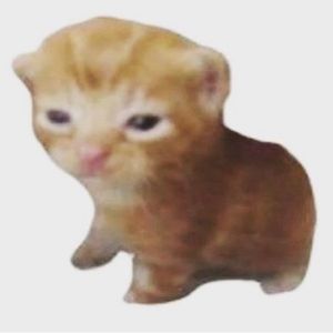 Meet your Posher, Eli